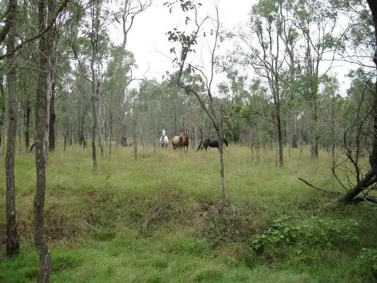 Fifth view of Homely land listing, 457 Mt Forbes Road, Mount Forbes QLD 4340