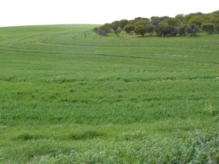 Lot 65 Burwood  Rd, Red Creek SA 5255