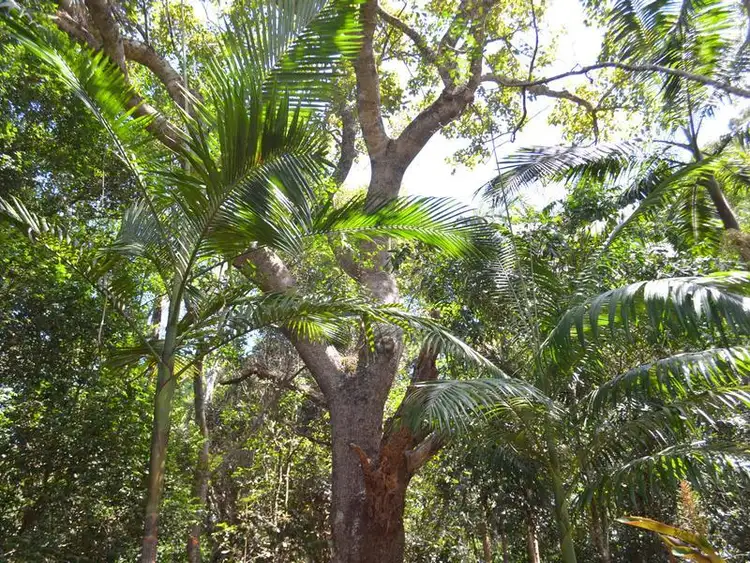 Sixth view of Homely land listing, 117 Gardners Lane, Maleny QLD 4552