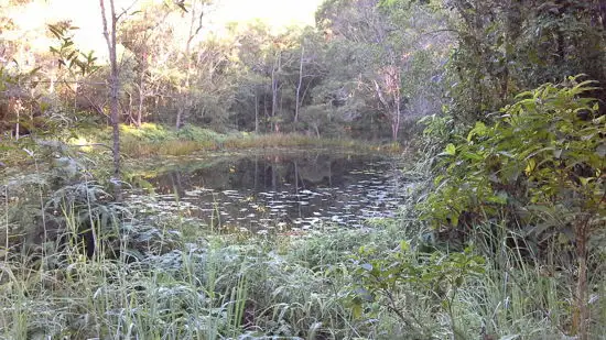 Seventh view of Homely land listing, 1412 Mossman - Mount Molloy Road, Julatten QLD 4871