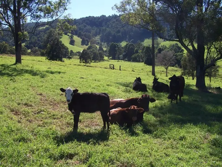 Sixth view of Homely rural property listing, 210 Wrights Lane, Dyers Crossing NSW 2429