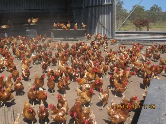 Seventh view of Homely rural property listing, Address available on request