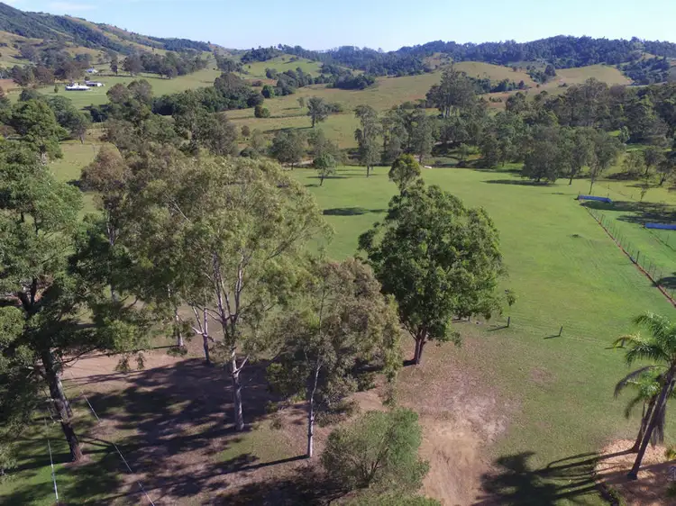 Second view of Homely rural property listing, 872 Wang Wauk Rd, Wang Wauk NSW 2423