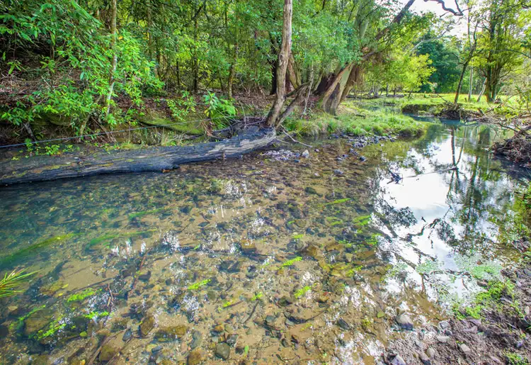 Second view of Homely rural property listing, 128F Friday Creek Road, Upper Orara NSW 2450