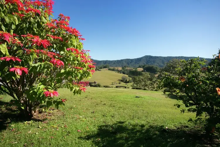 Third view of Homely rural property listing, 723 Valla Road, Valla NSW 2448