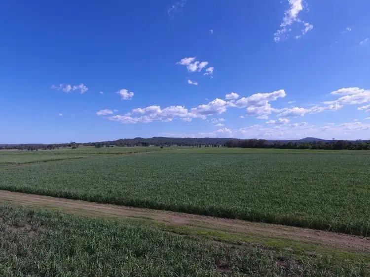 Fifth view of Homely rural property listing, Bungawalbin-Whiporie Road, Coraki NSW 2471