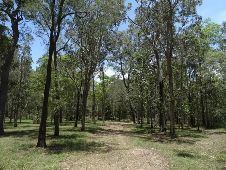 Sixth view of Homely rural property listing, 310 Muller Road, Baffle Creek QLD 4674