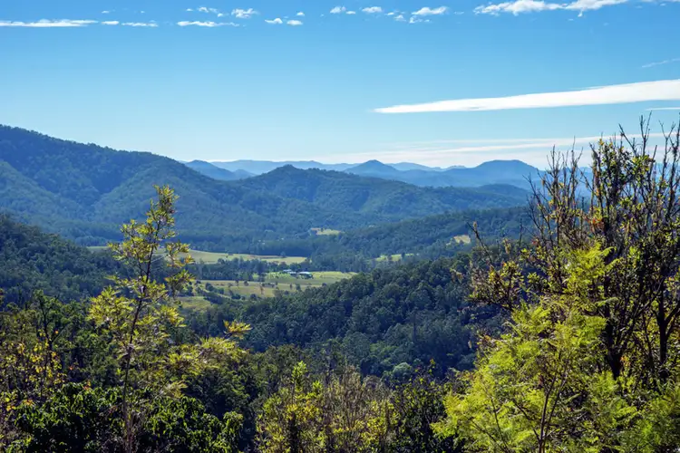 489 McHughes Creek Road, South Arm NSW 2449
