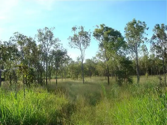 Main view of Homely rural property listing, 485 Haynes Rd, Adelaide River NT 846