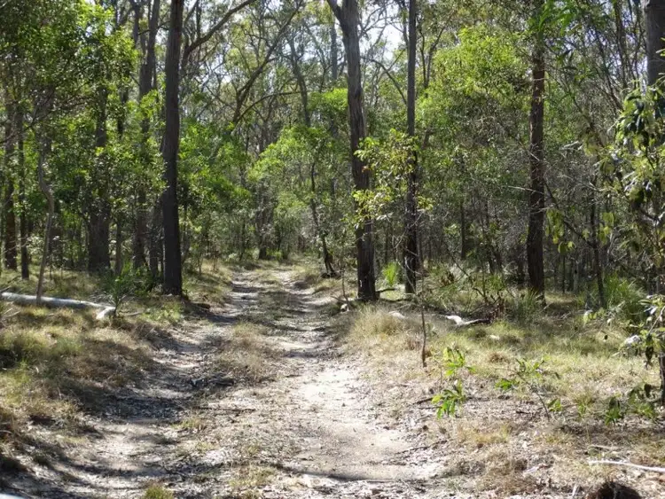 Fourth view of Homely land listing, 312 Mollenhagens Road, Winfield QLD 4670