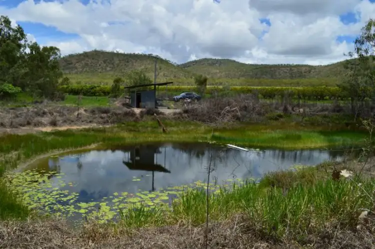 Seventh view of Homely rural property listing, 437 Veness Road, Dimbulah QLD 4872