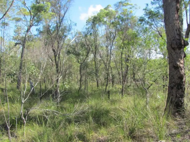 Sixth view of Homely rural property listing, Lot 53 Matchbox Road, Deepwater QLD 4674