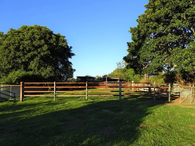 Fourth view of Homely rural property listing, 2634 Coaldale Road, Coaldale NSW 2460