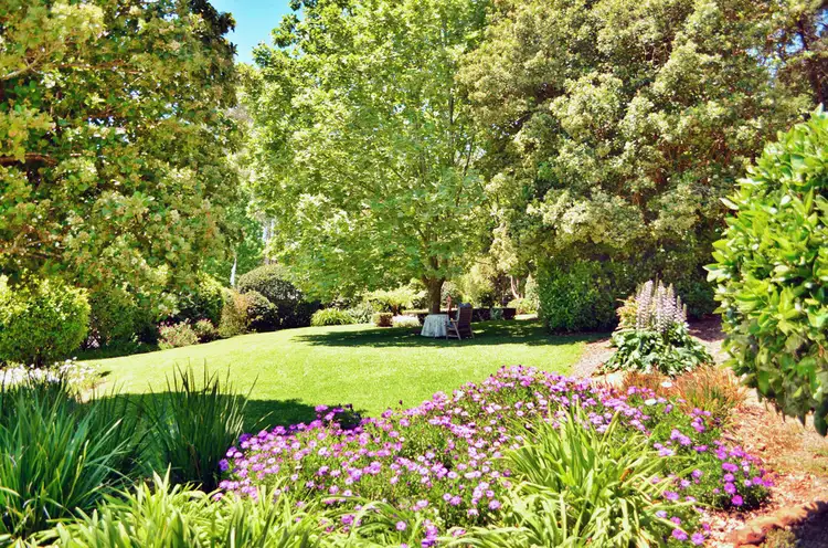 Sixth view of Homely house listing, 39 Meadow Road, Maleny QLD 4552