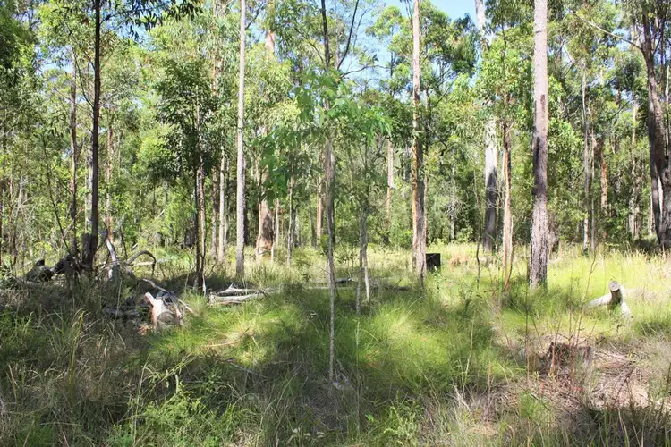 Fourth view of Homely rural property listing, Lot 2, 3850 Pacific Highway, Corindi Beach NSW 2456