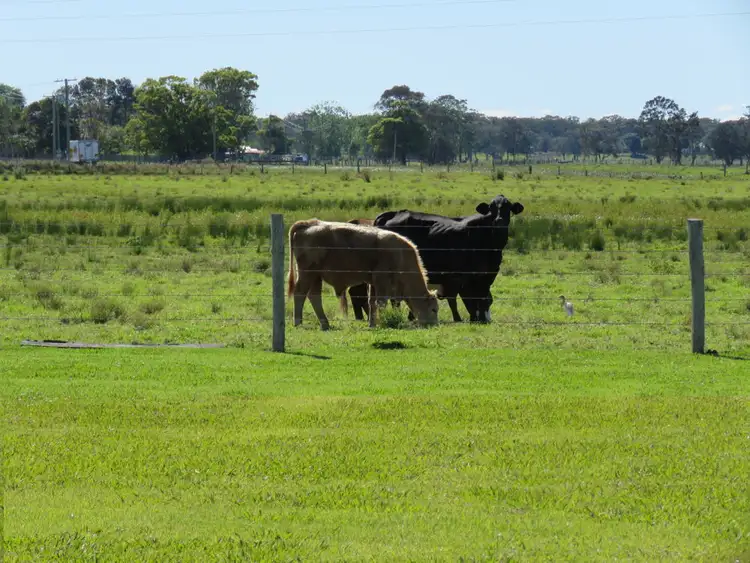 Fourth view of Homely rural property listing, 7 Kinchela Creek Right Bank Rd, Kinchela NSW 2440
