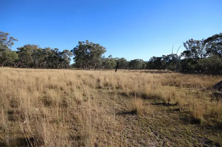 Fourth view of Homely rural property listing, 1303 Woodside Road, Tenterfield NSW 2372