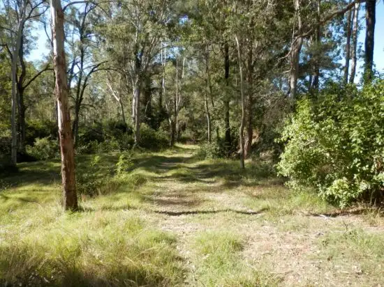 Sixth view of Homely land listing, 5180 Bruxner Highway, Tabulam NSW 2469