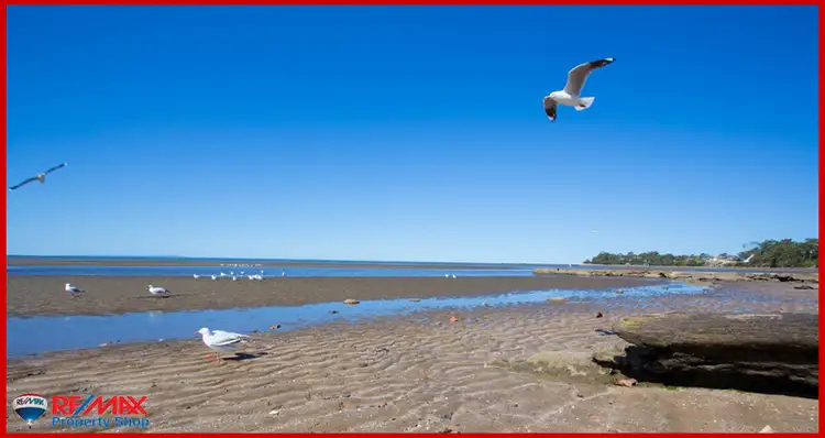 Fifth view of Homely unit listing, 6/30 Second Avenue, Sandgate QLD 4017