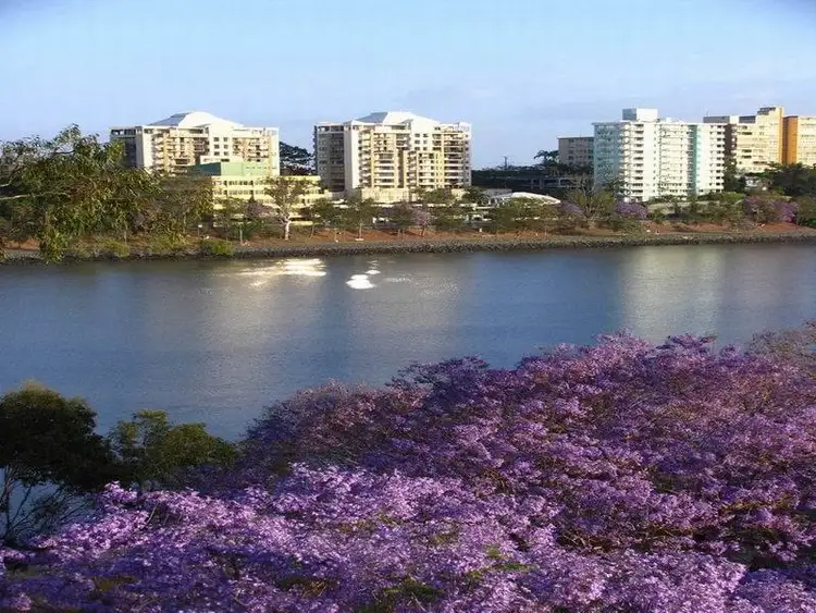 Fourth view of Homely apartment listing, 50/5 Duncan Street,, West End QLD 4101