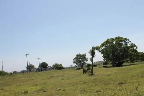 Fourth view of Homely land listing, lot 5 Forest Street, Coraki NSW 2471
