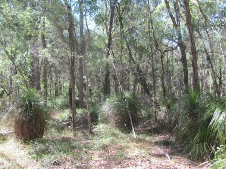 Sixth view of Homely rural property listing, Lot 77 Pacific Drive, Deepwater QLD 4674