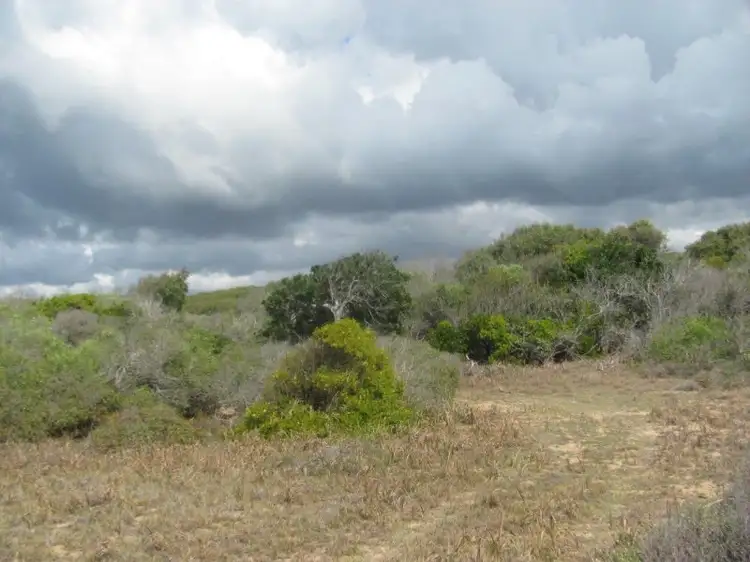 Sixth view of Homely rural property listing, Lot 69 Fingerfield Road, Rules Beach QLD 4674