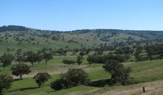 Main view of Homely rural property listing, Address available on request