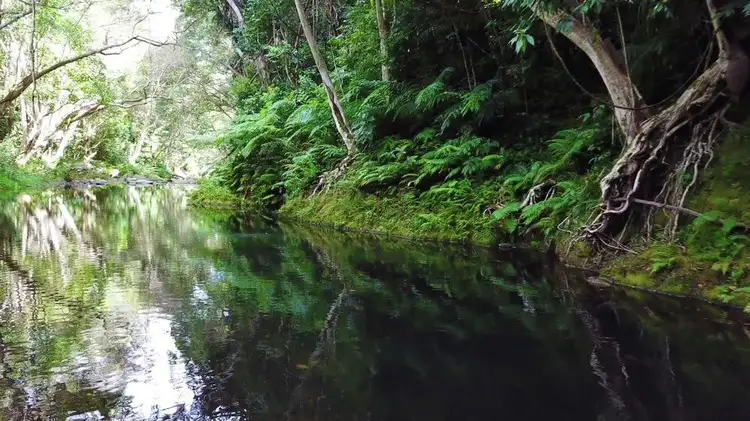 Second view of Homely house listing, 5-7 Frond Close, Redlynch QLD 4870