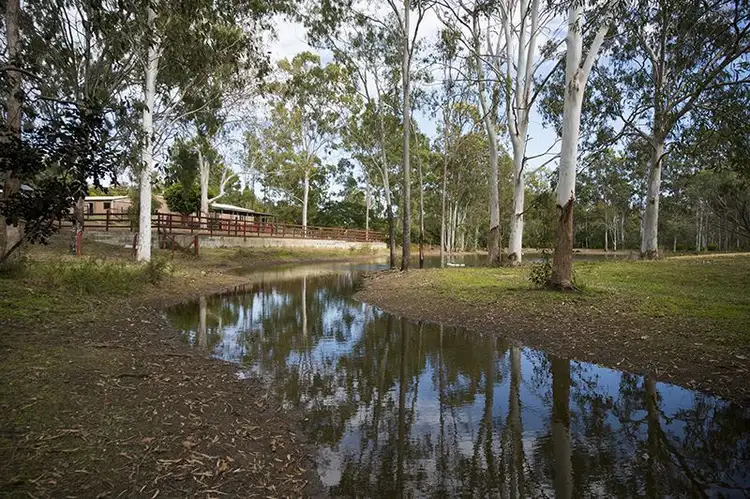 Seventh view of Homely house listing, 47 Williams Road, Burua QLD 4680