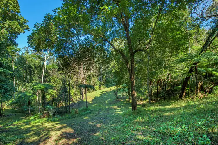 Fifth view of Homely house listing, 330 Roses Road, Bellingen NSW 2454