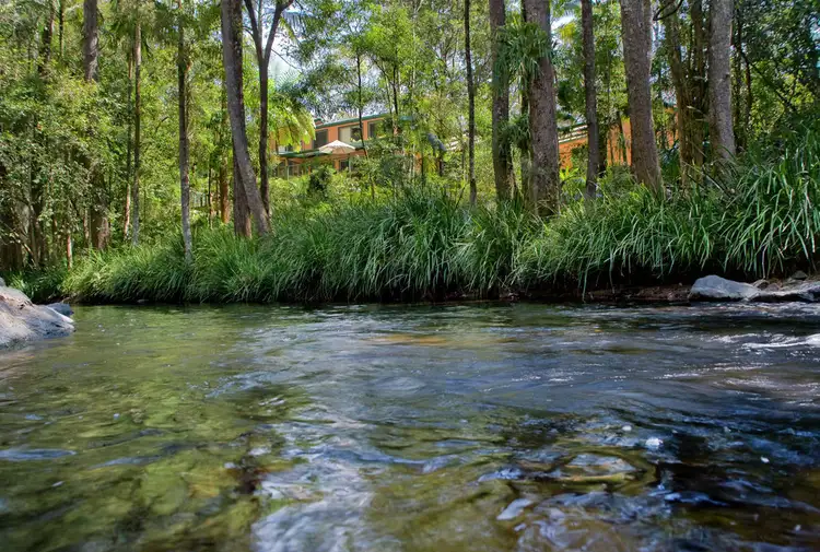 Seventh view of Homely house listing, 816 Summervilles Road, Bellingen NSW 2454