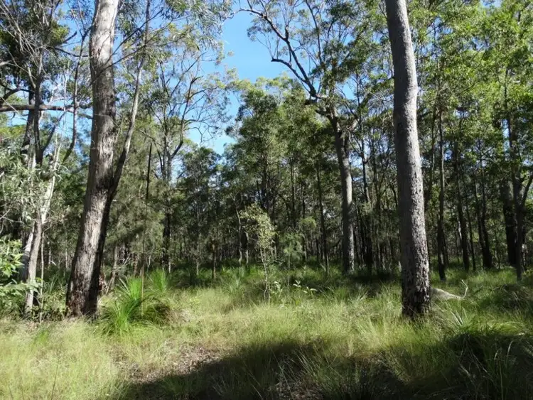 Main view of Homely rural property listing, 806 Capricornia Drive, Deepwater QLD 4674
