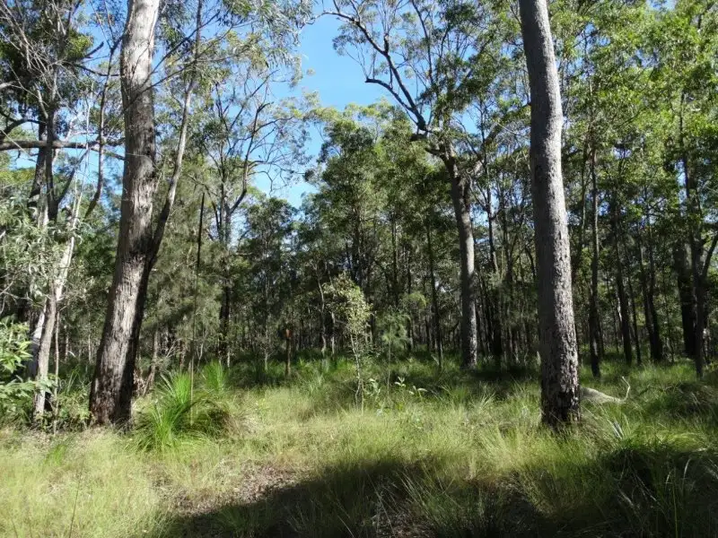 Main view of Homely rural property listing, 806 Capricornia Drive, Deepwater QLD 4674