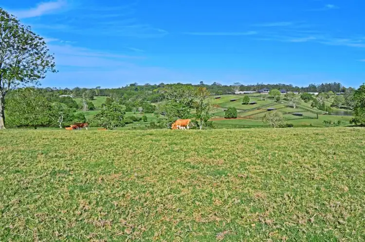 Sixth view of Homely land listing, 328-364 Mountain View Road, Maleny QLD 4552