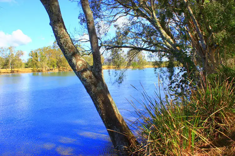 313 South Arm Road, Urunga NSW 2455