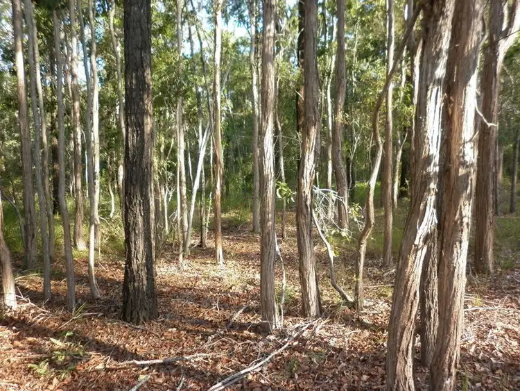 Seventh view of Homely land listing, L21 Counter Road, Wolvi QLD 4570