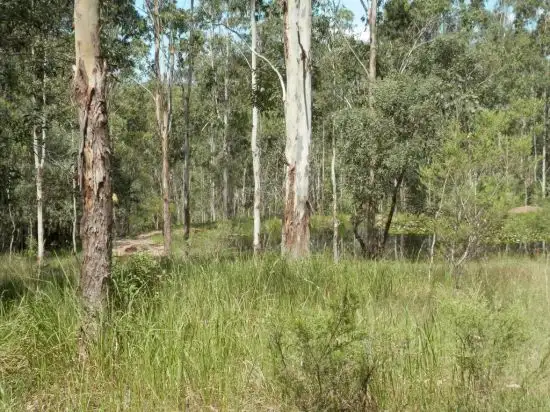Fifth view of Homely rural property listing, 1448 Plains Station Rd, Tabulam NSW 2469