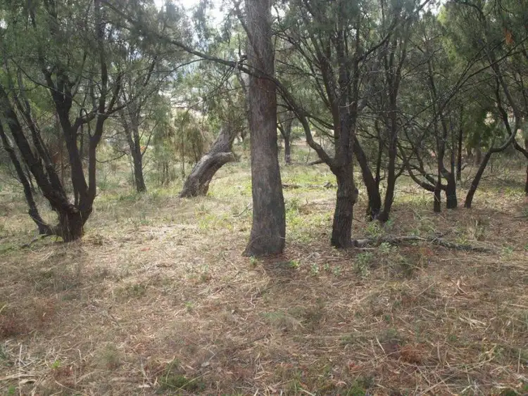 Fifth view of Homely land listing, 13 High Street, Dunalley TAS 7177