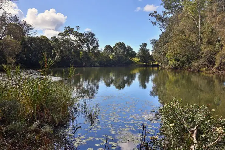 Main view of Homely rural property listing, 325 Upper Warrell Creek Road, Macksville NSW 2447