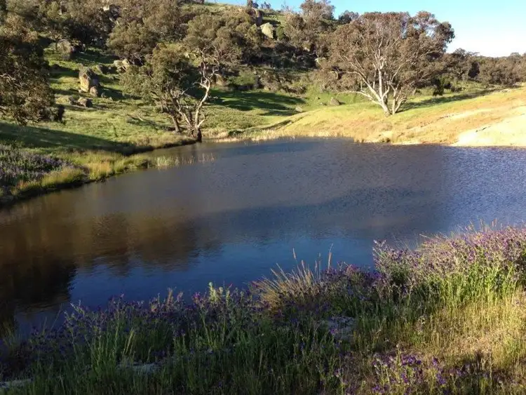 Third view of Homely land listing, 6056 Holbrook Road, Gelston Park, Wagga Wagga NSW 2650