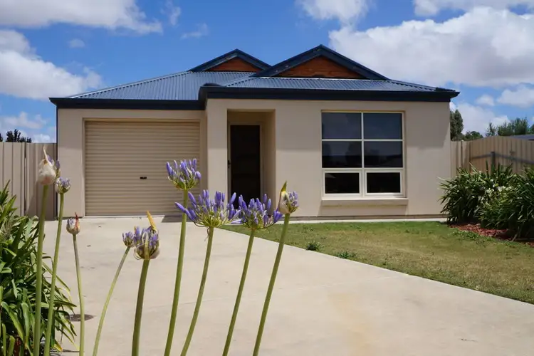 7 Nilfred Court, Murray Bridge SA 5253