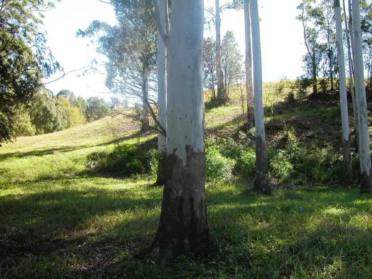 Seventh view of Homely rural property listing, 6 Strawberry Road, Macksville NSW 2447