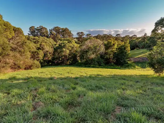 Seventh view of Homely land listing, 205 Blueberry Drive, Cooroy QLD 4563