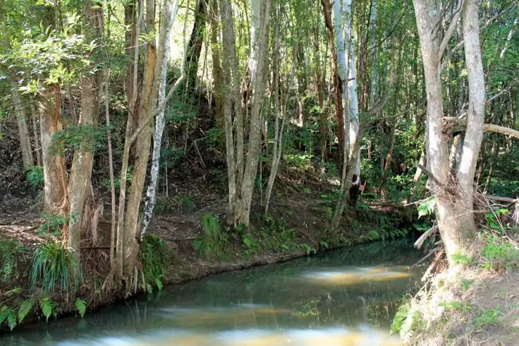 Second view of Homely rural property listing, Lot 1 Davis Road, Green Pigeon, Kyogle NSW 2474