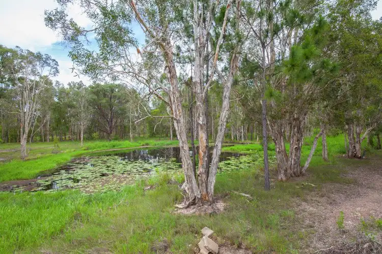 Fifth view of Homely house listing, 119 Bidwill Road, Bidwill QLD 4650