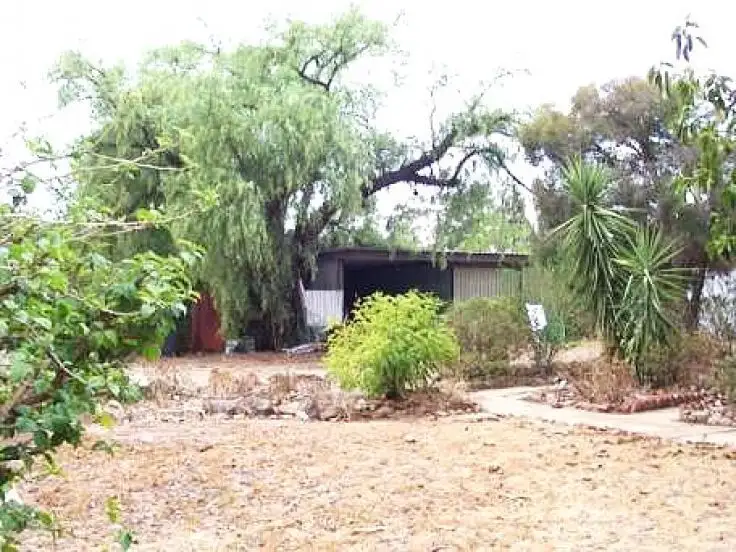 Main view of Homely house listing, 62 Buller St, Oaklands NSW 2646