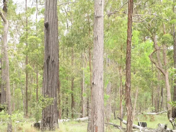 Fourth view of Homely other listing, Lot 6 Two Twenty Eight Rd, Duckinwilla QLD 4650