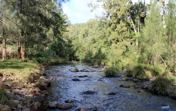 Third view of Homely rural property listing, 1154 Lynches Creek Road, Lynches Creek, Kyogle NSW 2474