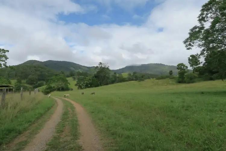 Third view of Homely rural property listing, Lot 1067 SHEET OF BARK RD,, Burrapine NSW 2447